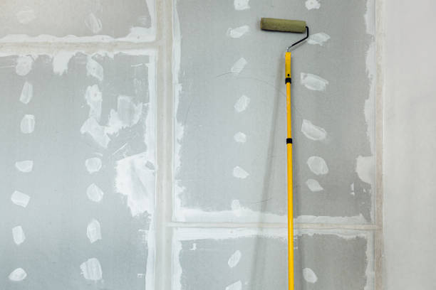 Best Emergency Mold Remediation  in Mason, MI