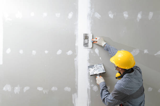 Best Environmental Consulting for Mold Prevention  in Mason, MI