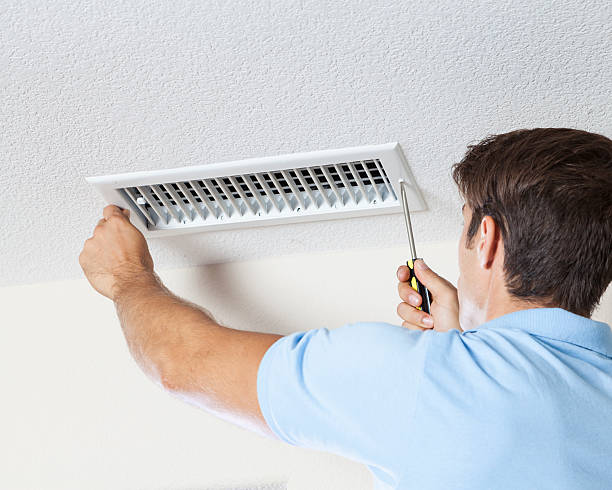 Best Mold Remediation for Healthcare Facilities  in Mason, MI